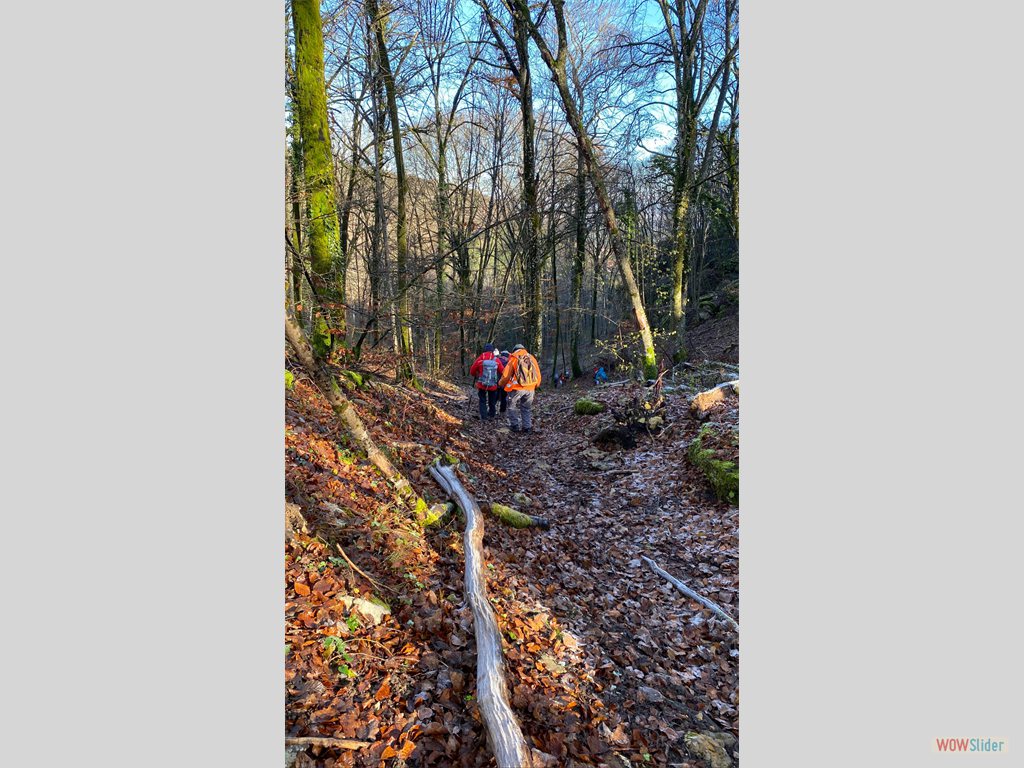 5- descente un peu raide sur Corcelles les Monts