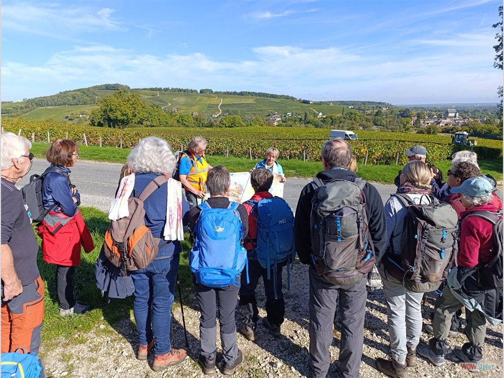 4-dans le vignoble Sancerrois