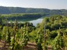 8- vallée du Rhône depuis le vignoble